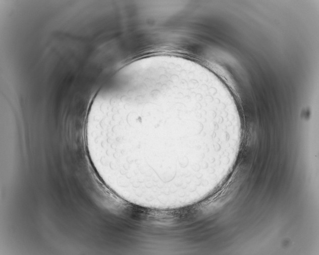 X0000098101338200805021101