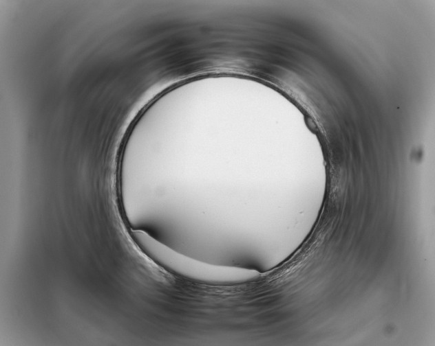 X0000098101339200805021101