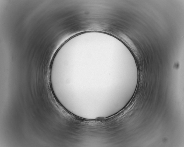 X0000098101340200805021101