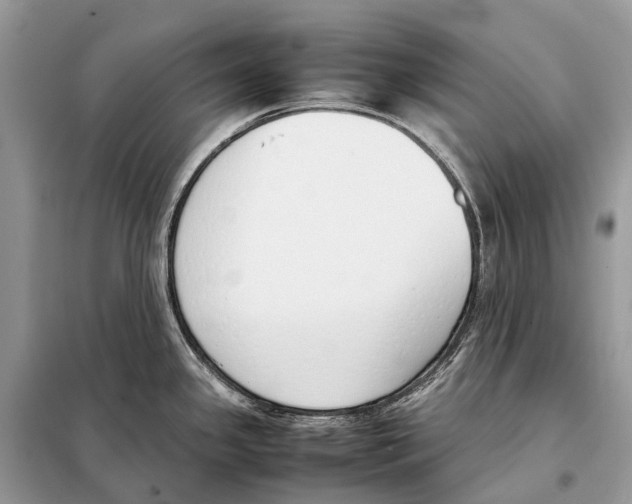 X0000098101341200805021101