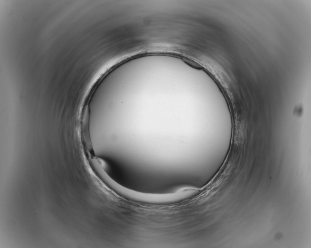 X0000098101342200805021101