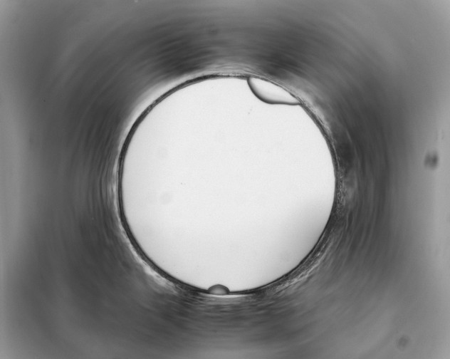 X0000098101343200805021101