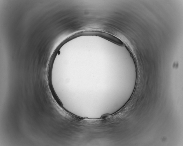 X0000098101344200805021101