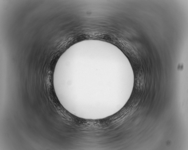 X0000098101346200805021100