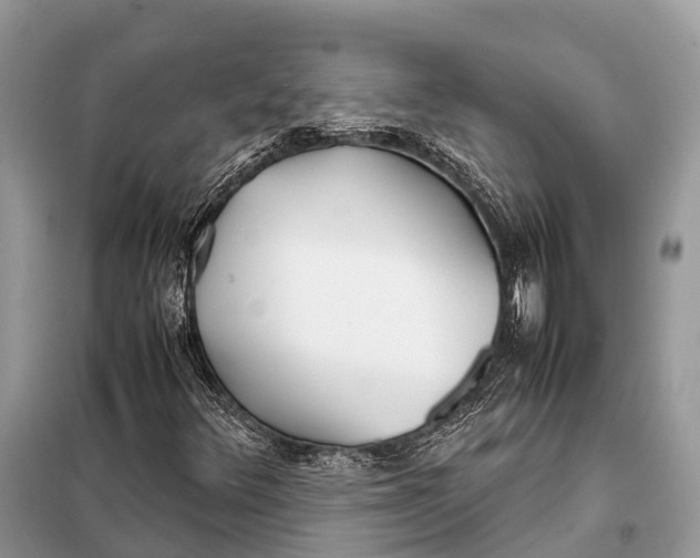 X0000098101348200805021100