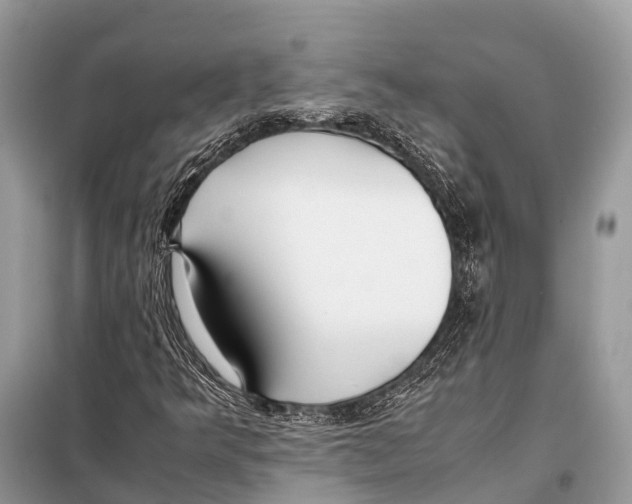 X0000098101349200805021100