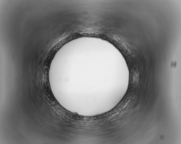 X0000098101350200805021100