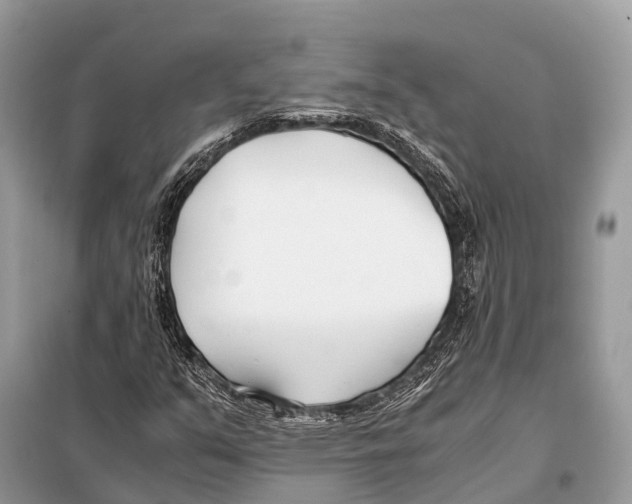 X0000098101351200805021100