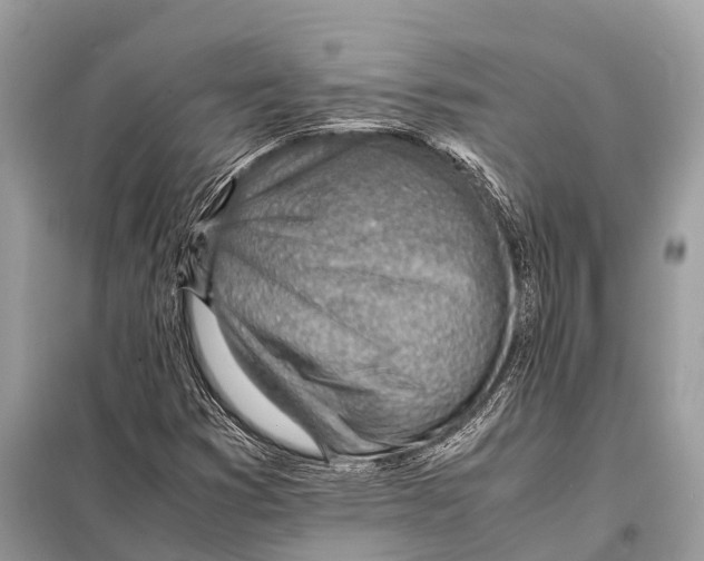 X0000098101353200805021100