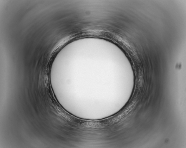 X0000098101354200805021100