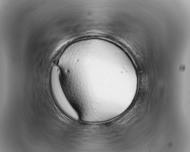 X0000098101355200805021100