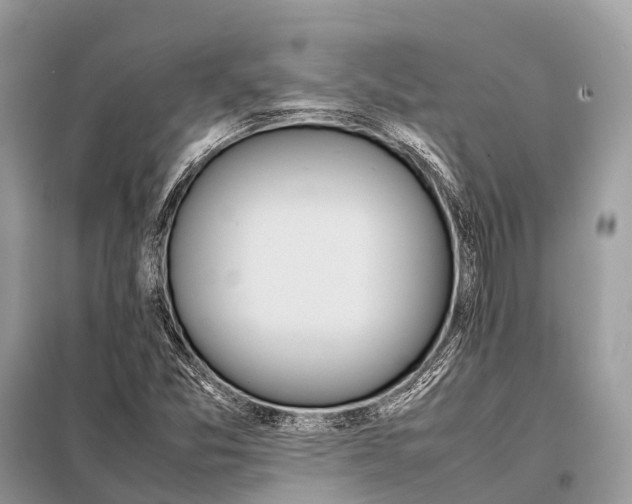 X0000098101357200805021100