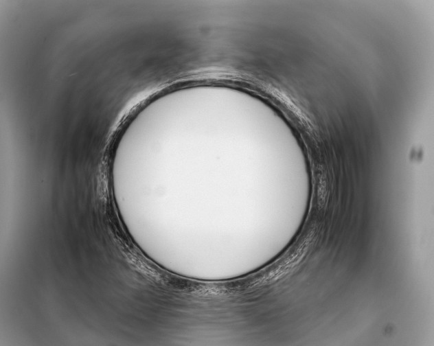X0000098101358200805021100