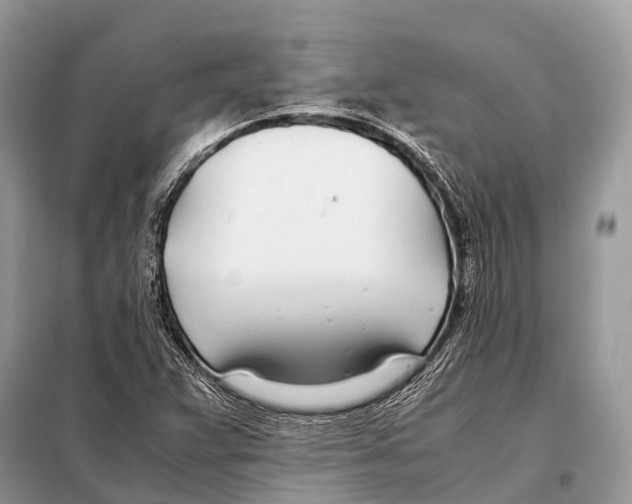 X0000098101359200805021100