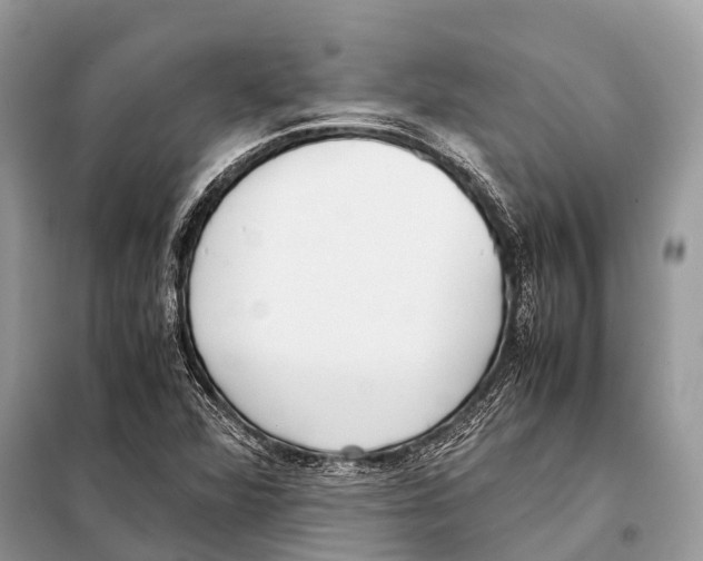 X0000098101360200805021100