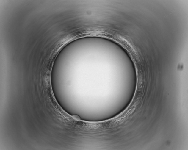 X0000098101361200805021100