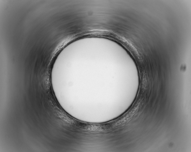 X0000098101362200805021100