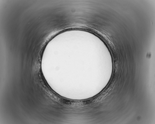 X0000098101363200805021100