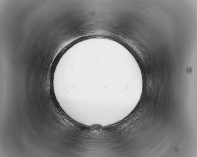 X0000098101364200805021100