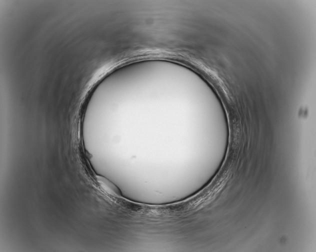 X0000098101365200805021100