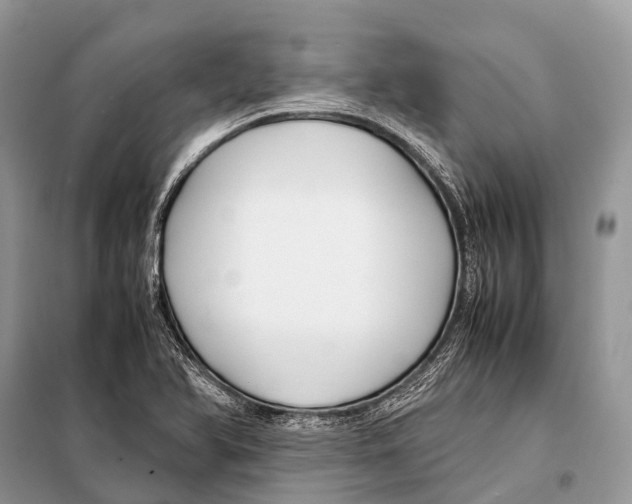 X0000098101366200805021100