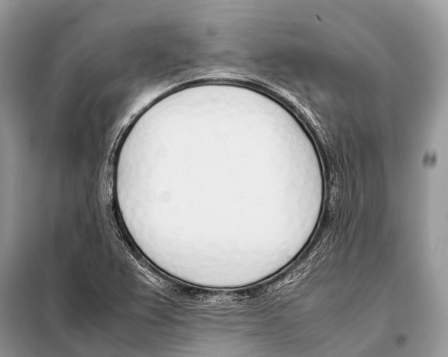 X0000098101367200805021100