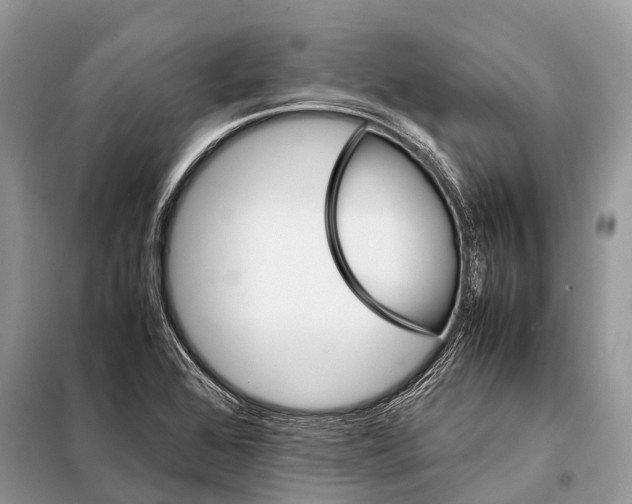 X0000098101368200805021100