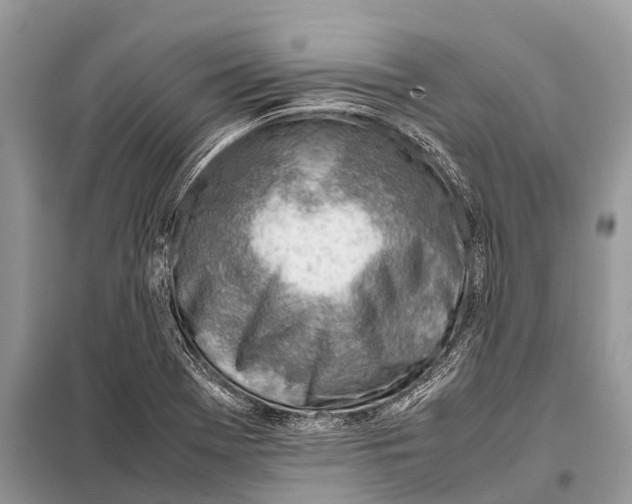 X0000098101369200805021100