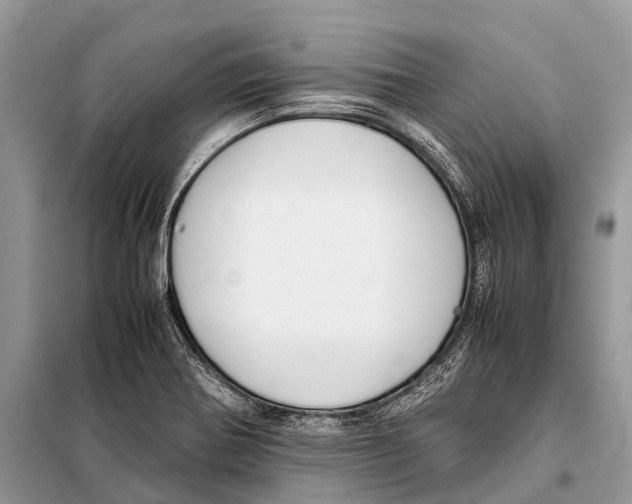 X0000098101370200805021100