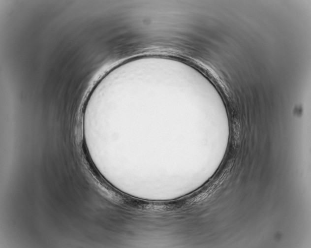 X0000098101371200805021100