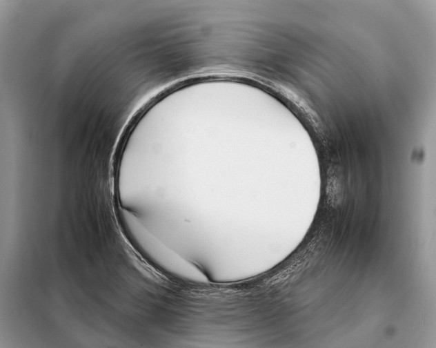 X0000098101372200805021100