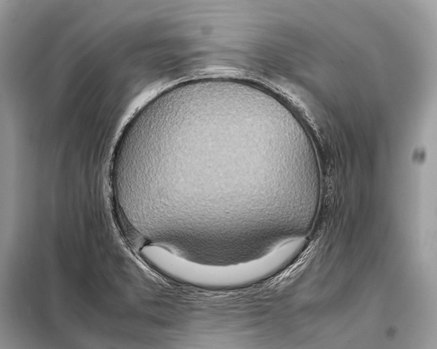 X0000098101373200805021100