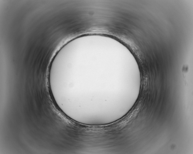 X0000098101374200805021100