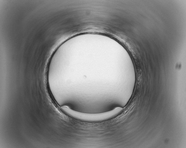 X0000098101375200805021100