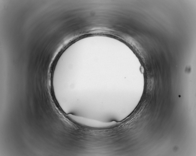 X0000098101376200805021100