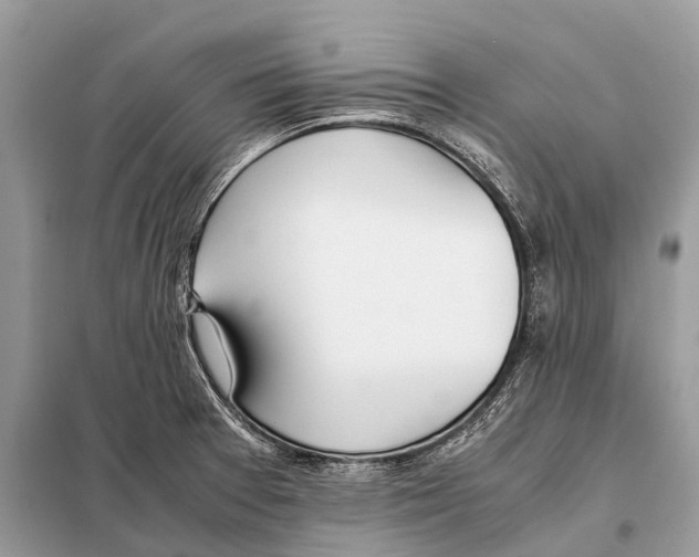 X0000098101377200805021100