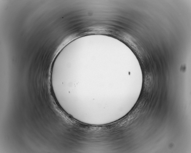 X0000098101378200805021059
