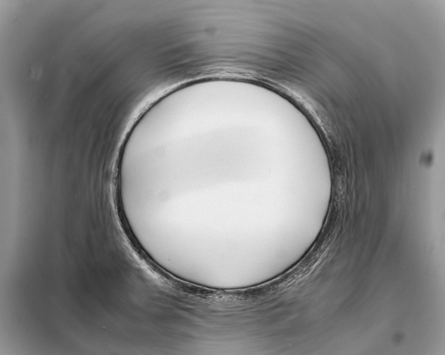 X0000098101379200805021059