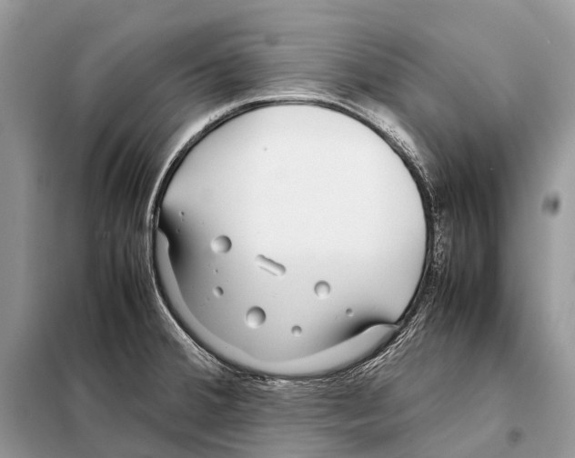 X0000098101380200805021059
