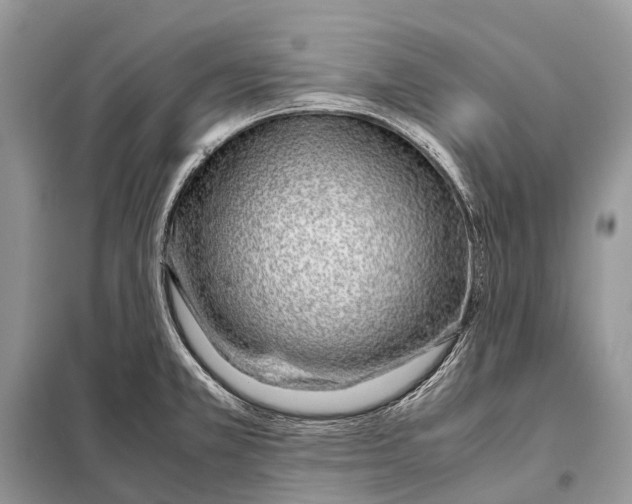 X0000098101381200805021059