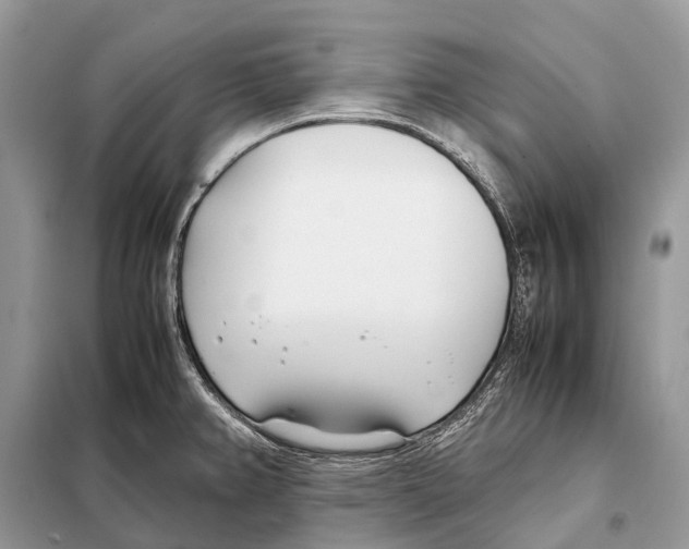 X0000098101382200805021059
