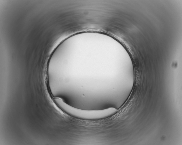 X0000098101383200805021059