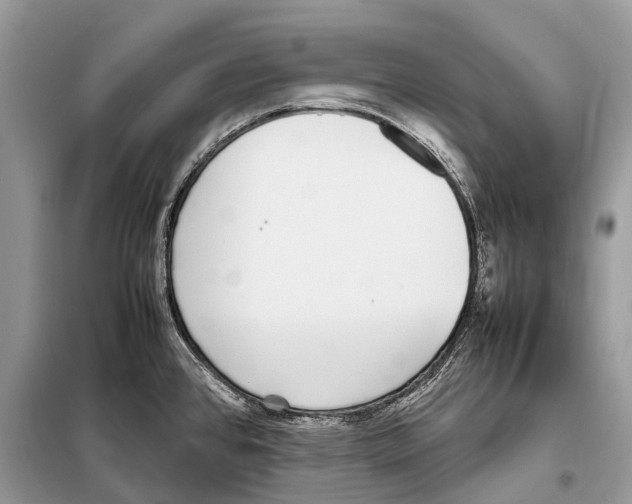 X0000098101384200805021059