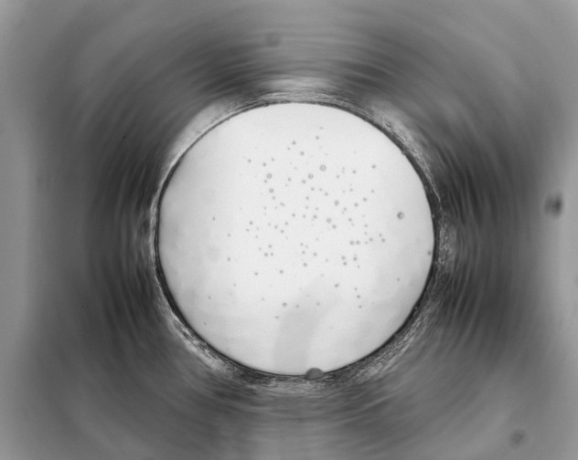 X0000098101386200805021059