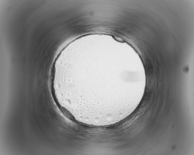 X0000098101387200805021059