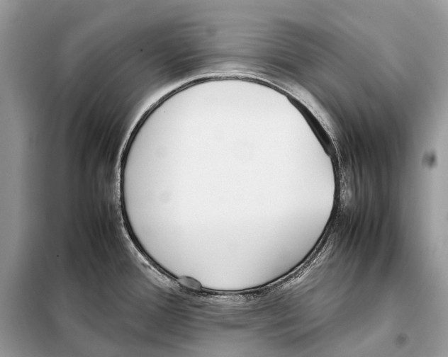 X0000098101388200805021059