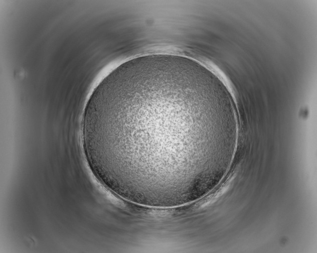 X0000098101389200805021059