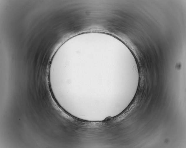 X0000098101390200805021059