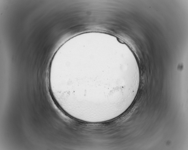 X0000098101391200805021059