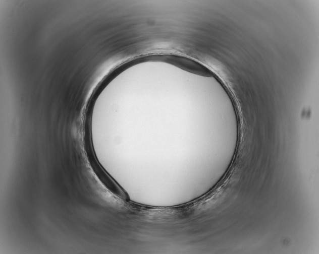 X0000098101392200805021059